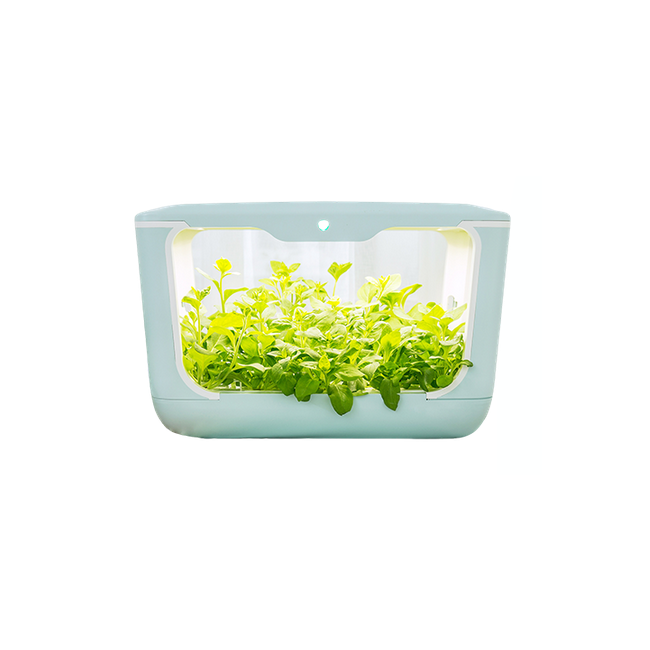 Inteligentna doniczka Indoor Grow Box (15 roślin)